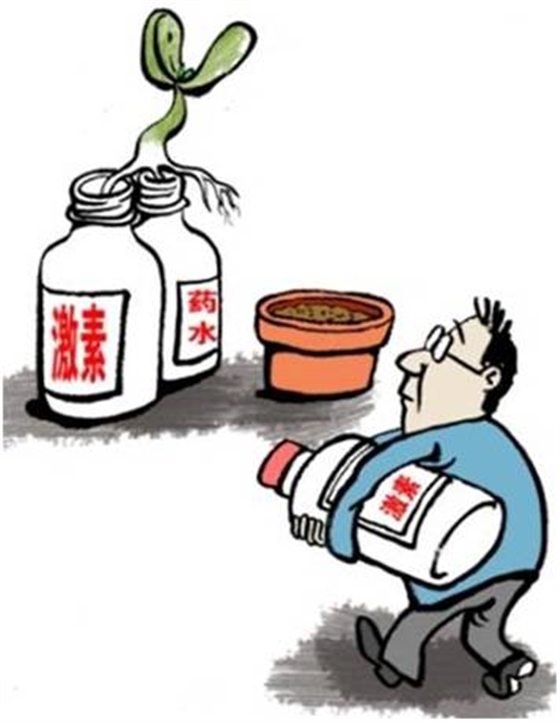 #微肥課堂#葉面肥含激素好嗎？