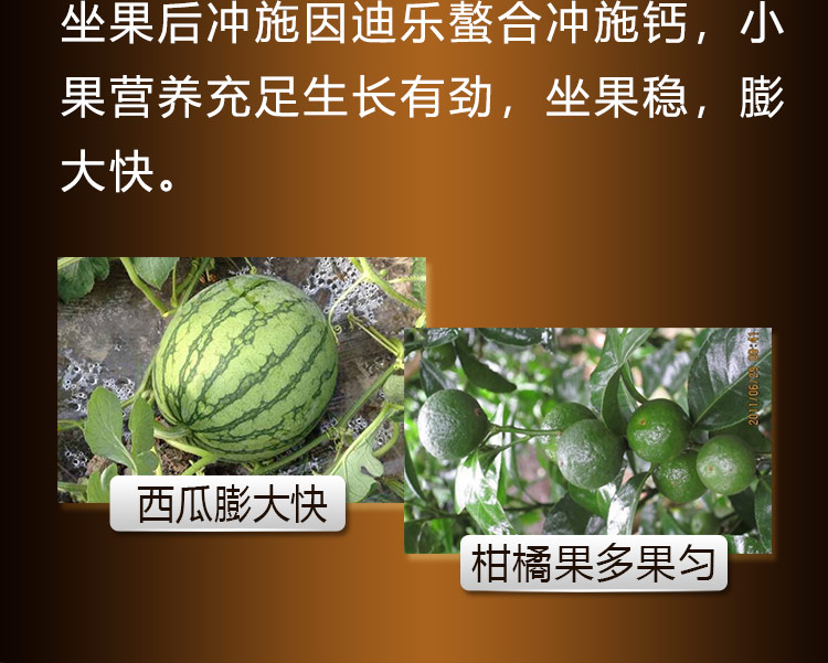 14因迪樂螯合沖施鈣【手機版】_10.jpg