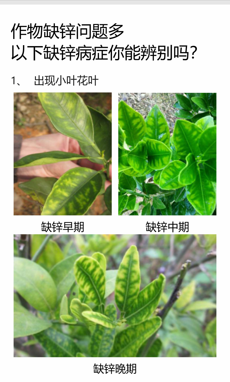 微補螯合鋅750_03.jpg