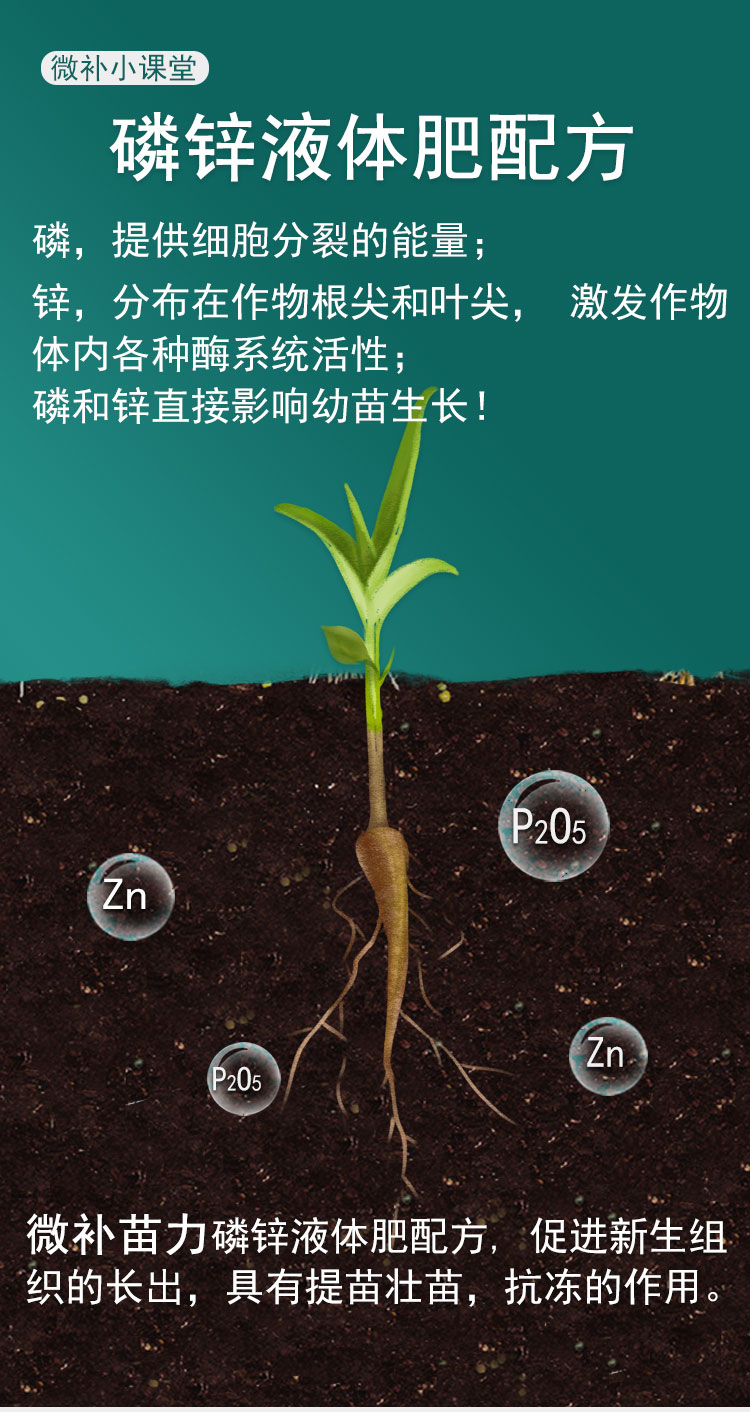 微補(bǔ)苗力_02.jpg