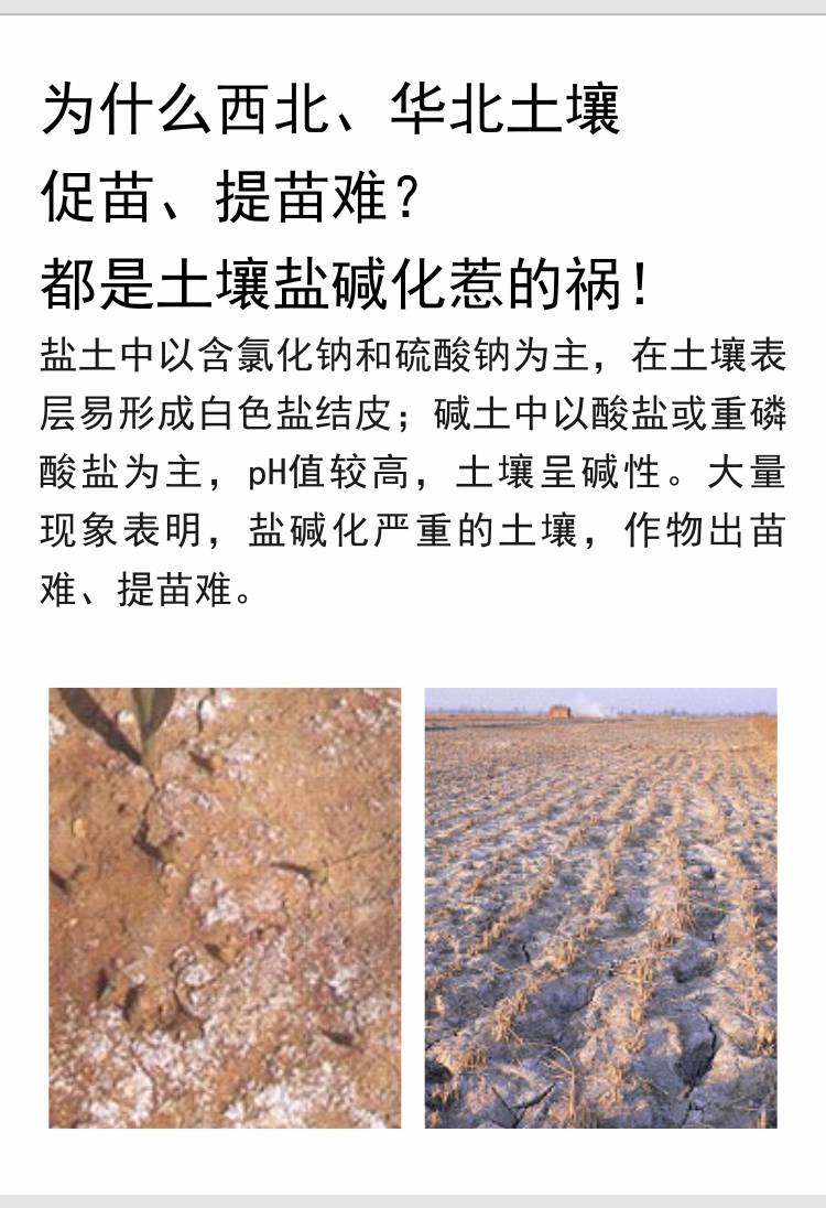 因迪樂(lè)有機(jī)鹽堿土調(diào)理水溶肥_02.jpg