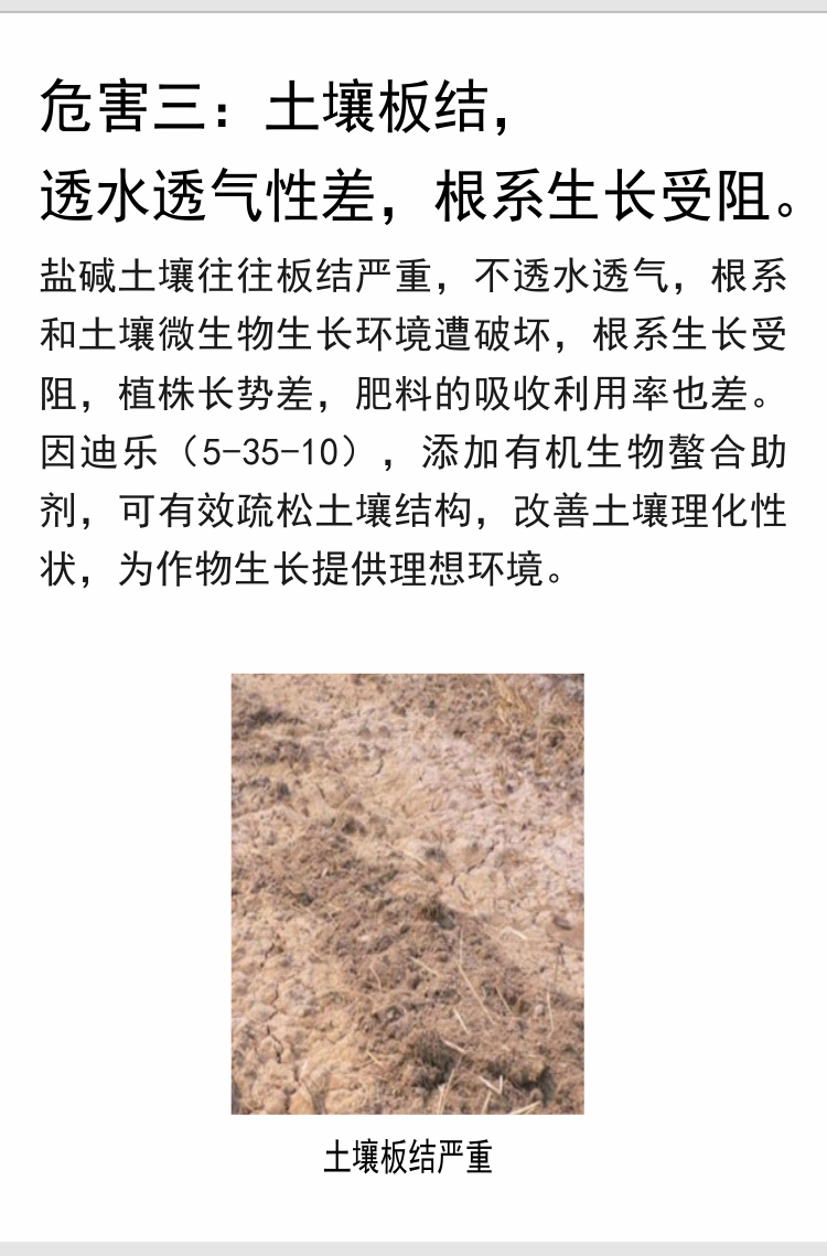 因迪樂(lè)有機(jī)鹽堿土調(diào)理水溶肥_06.jpg
