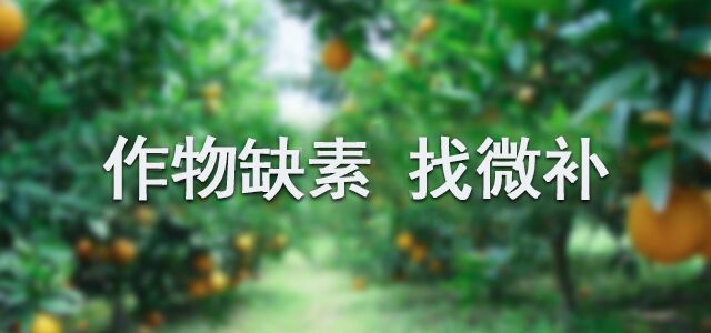 攜手微補,開創(chuàng)微肥新時代