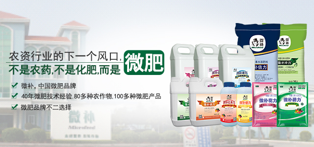 農業(yè)下一個風口