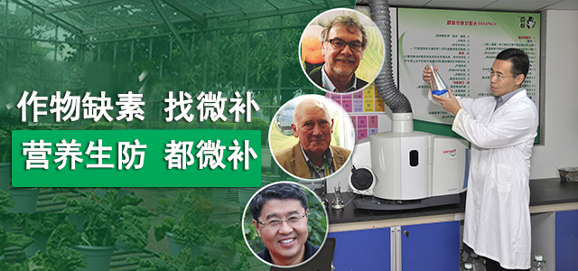 40年專注微肥技術
