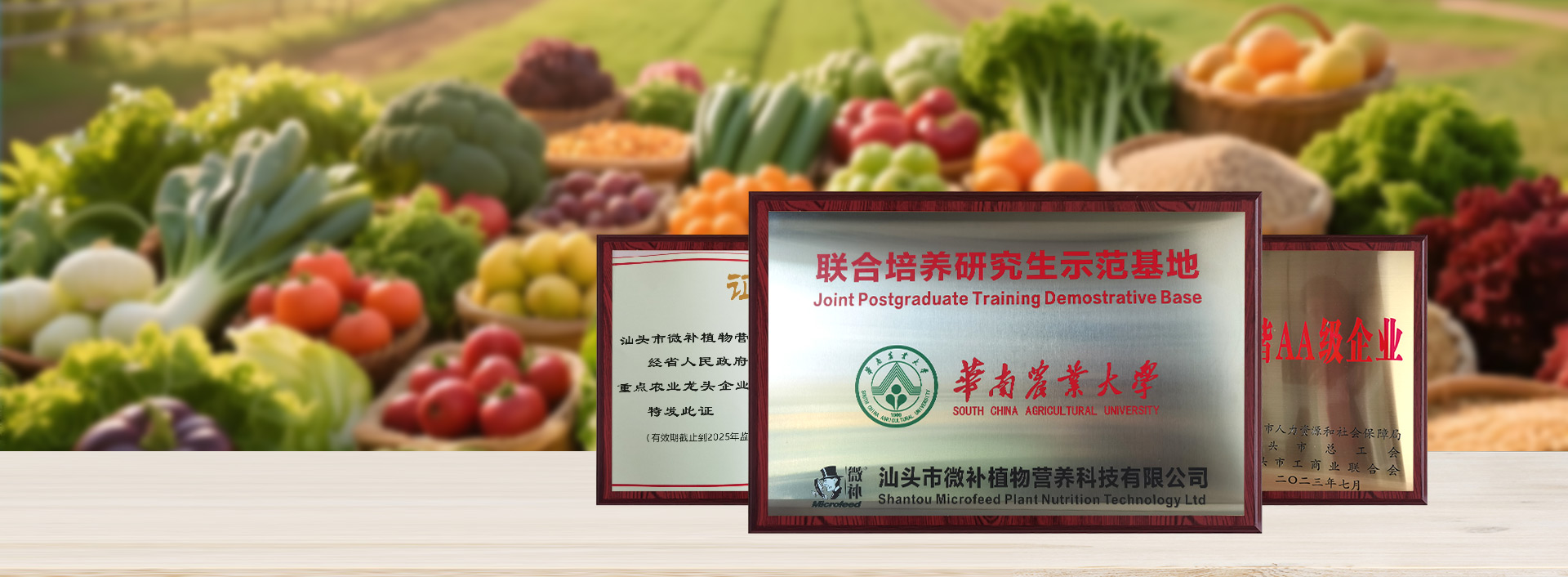 個性化定制