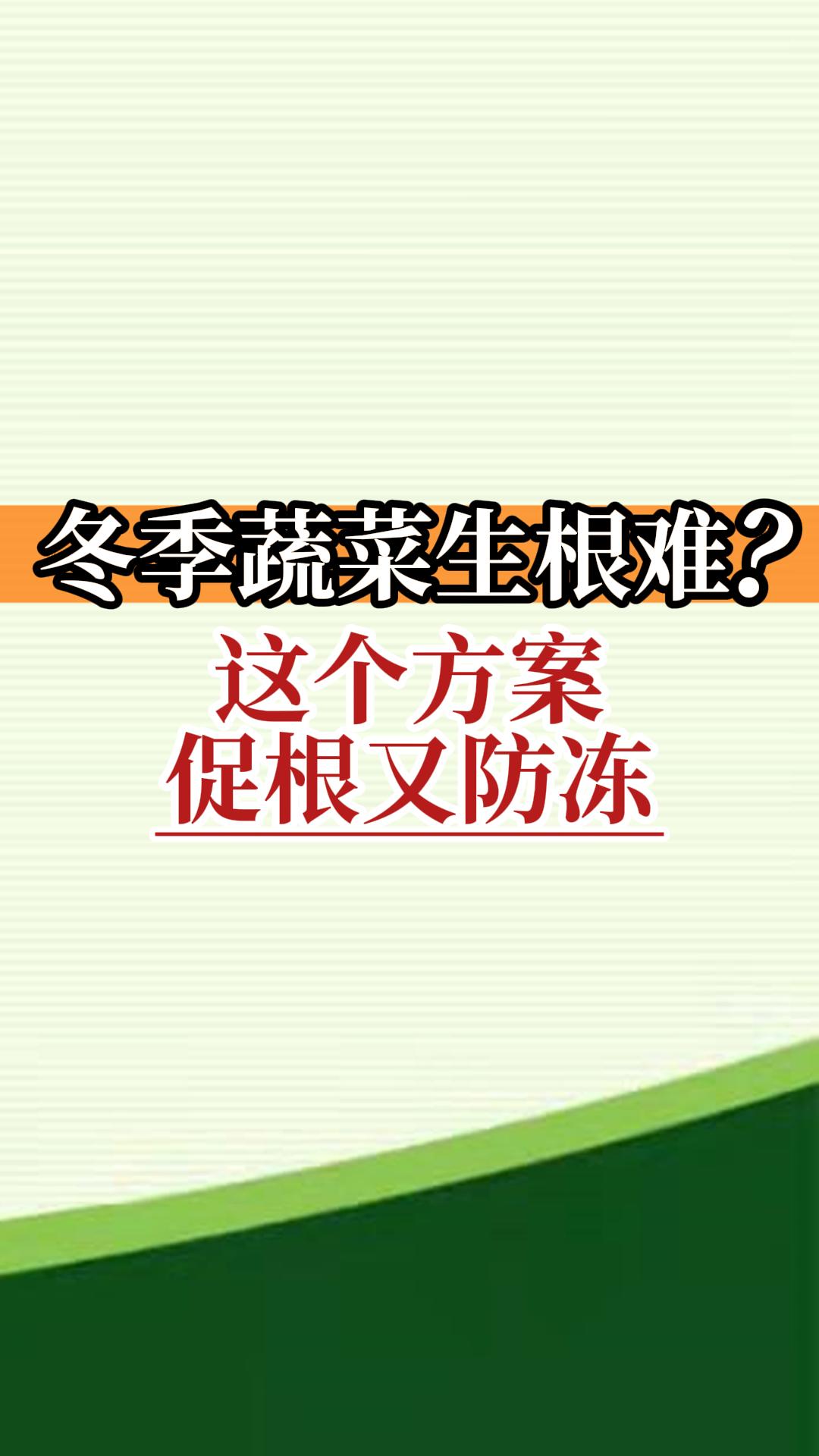 冬季蔬菜生根難？這個(gè)方案促根又防凍