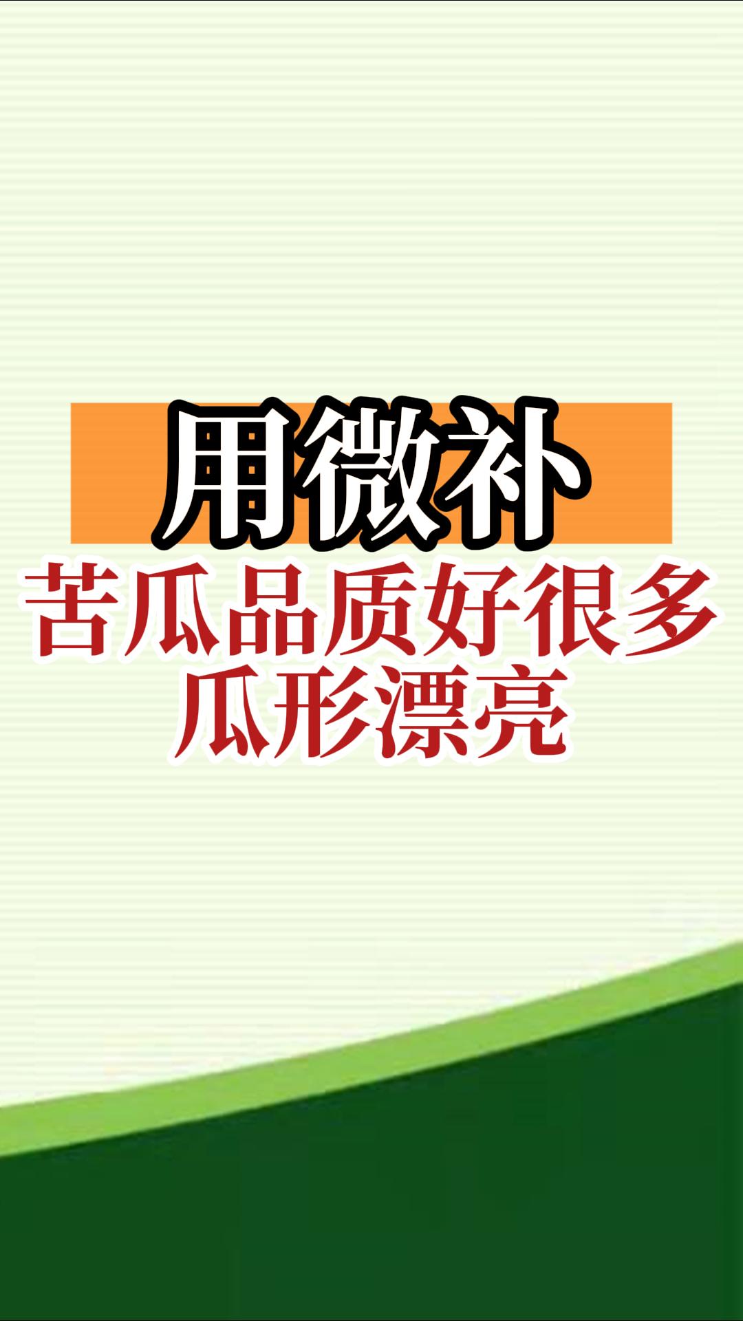 用微補(bǔ)，苦瓜品質(zhì)好很多，瓜形漂亮