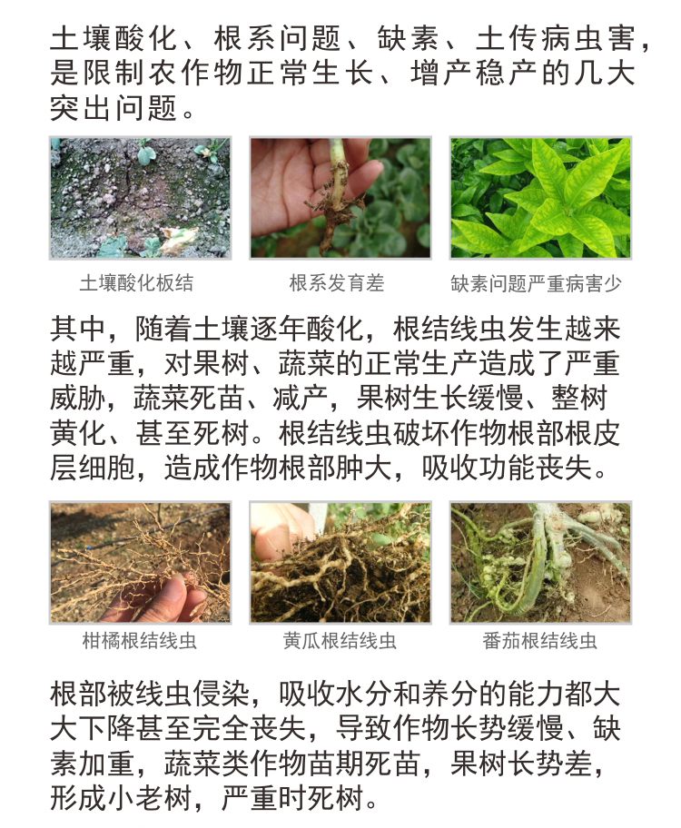 BioMicro線蟲(chóng)