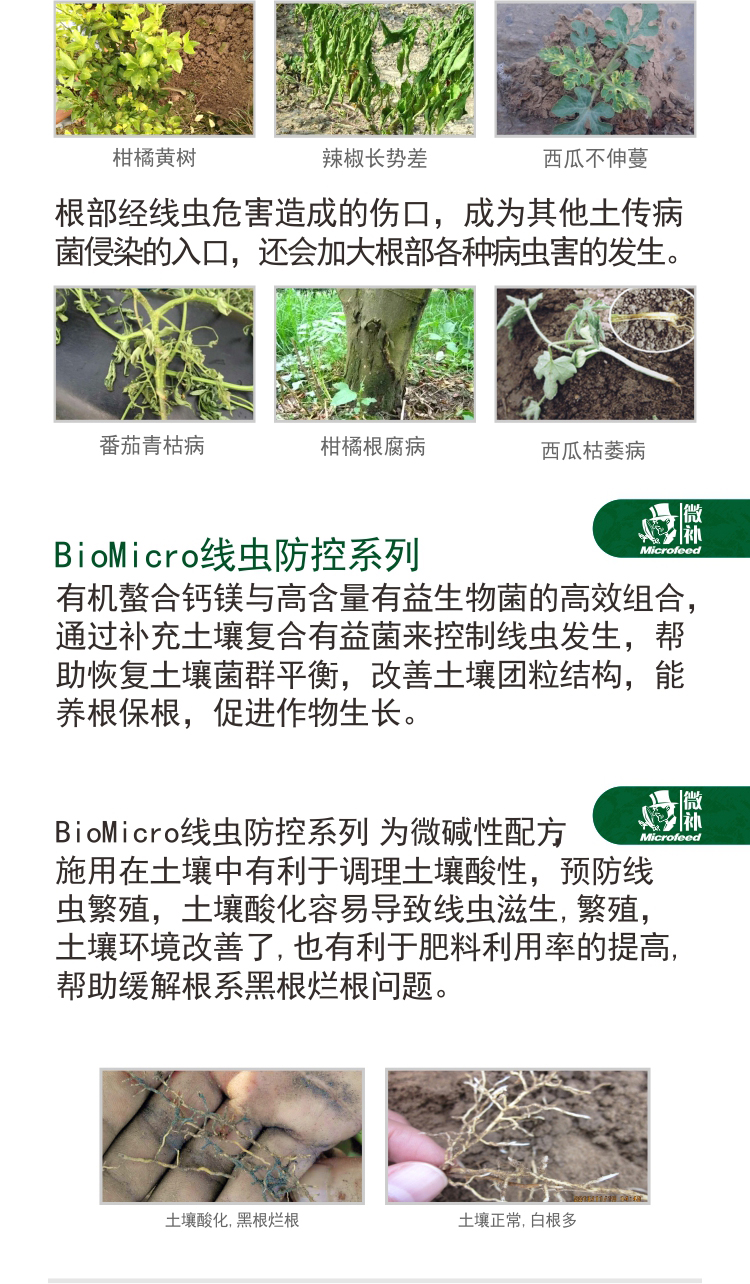 BioMicro線蟲(chóng)