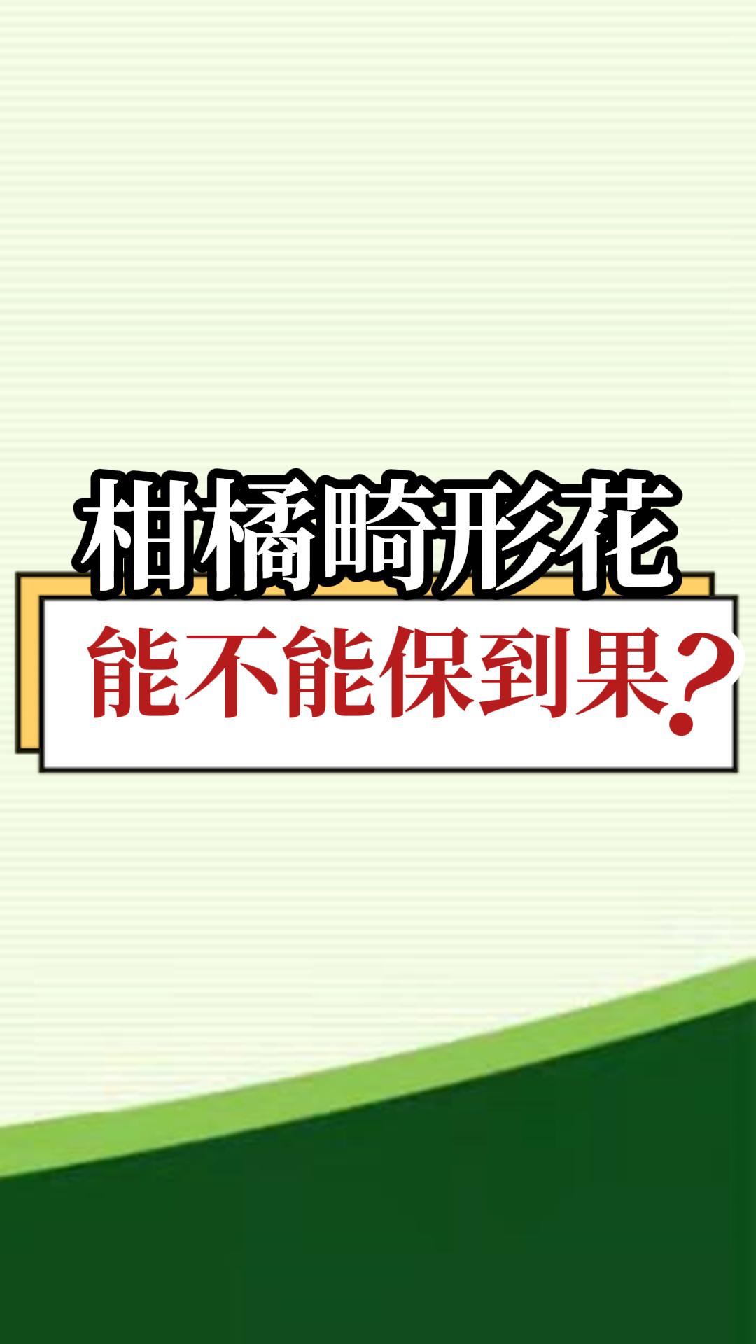 柑橘畸形花能不能保到果？