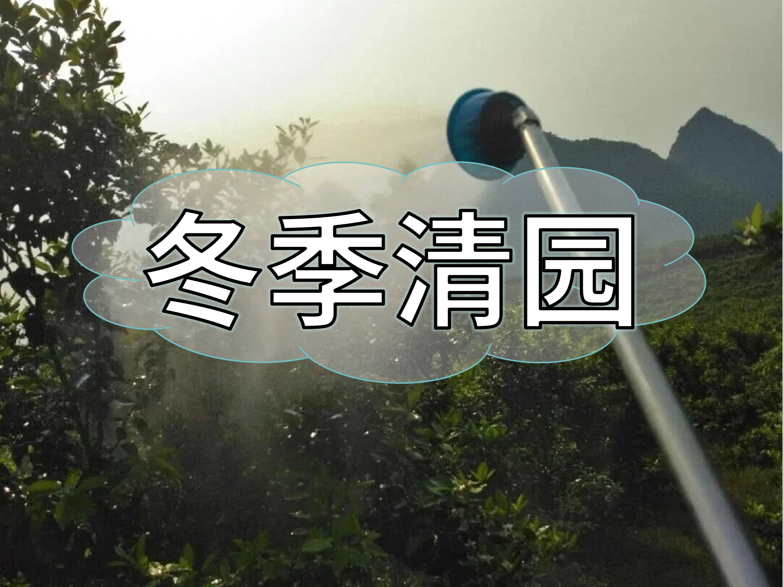 冬季清園首選：微補(bǔ)生防三劍客