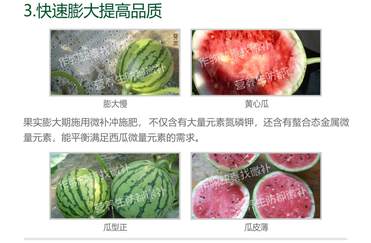 微補(bǔ)沖施肥