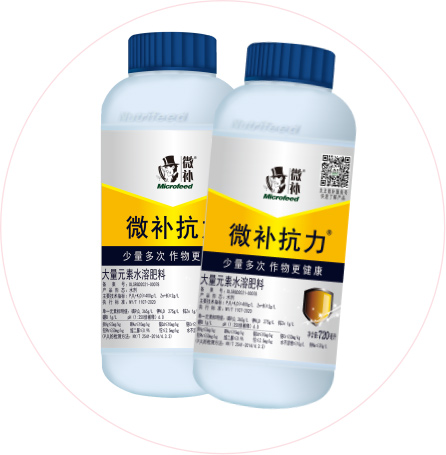 如何做好冬季清園，減少來年病蟲害影響