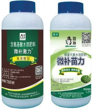 讓作物安全過(guò)冬的實(shí)用小妙招，速看
