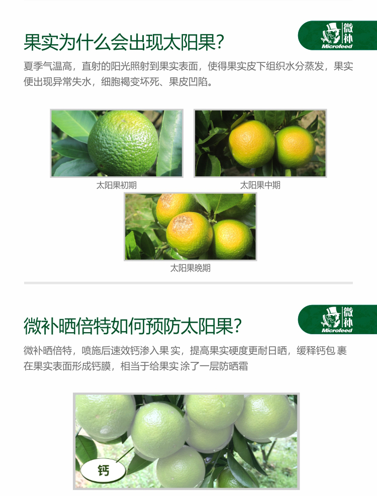 微補(bǔ)曬倍特