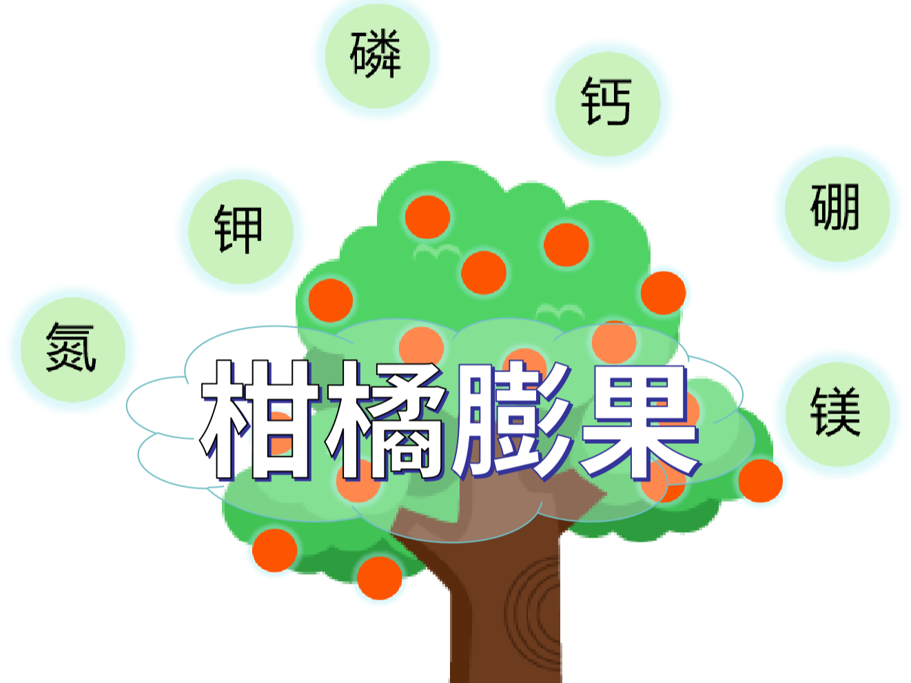 柑橘膨果慢？找準(zhǔn)原因，“對(duì)癥下藥”