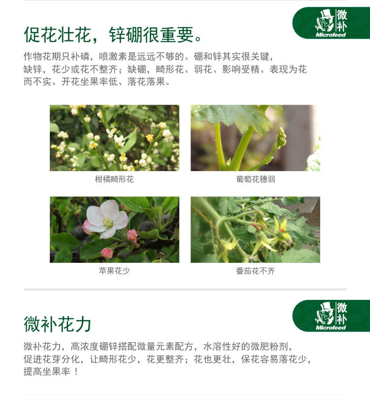 微補(bǔ)花力