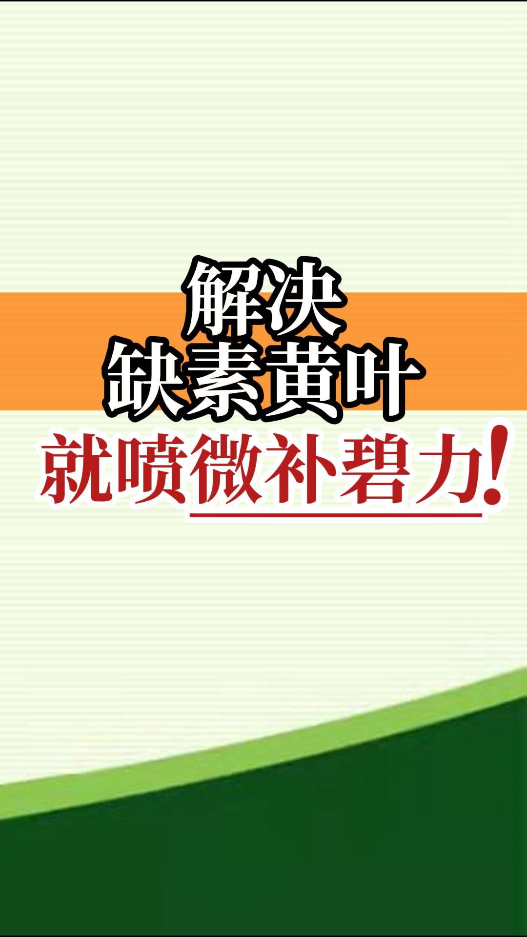 解決缺素黃葉就噴微補(bǔ)碧力！