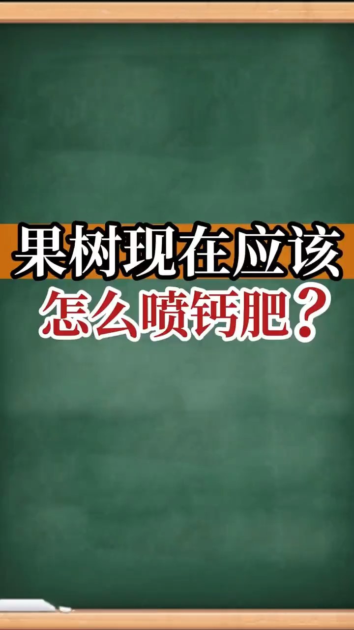 果樹現(xiàn)在應(yīng)該怎么噴鈣肥？